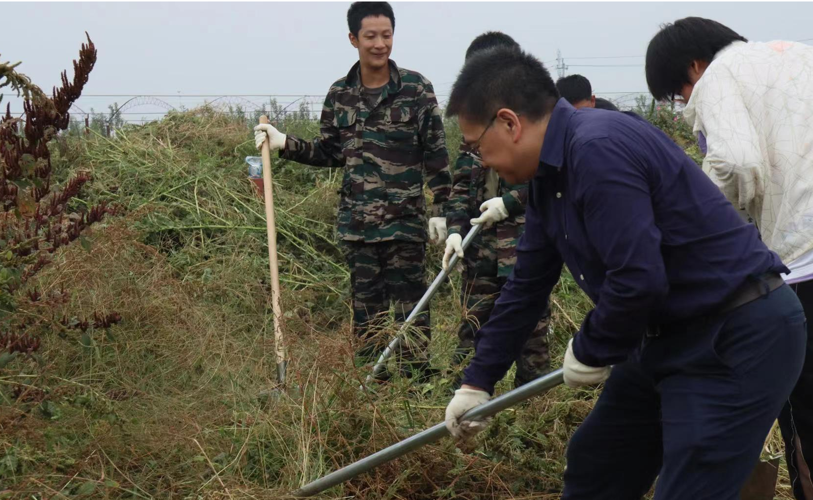 “清”年爱劳动：在书院农场上一场别开生面的劳动教育实践课