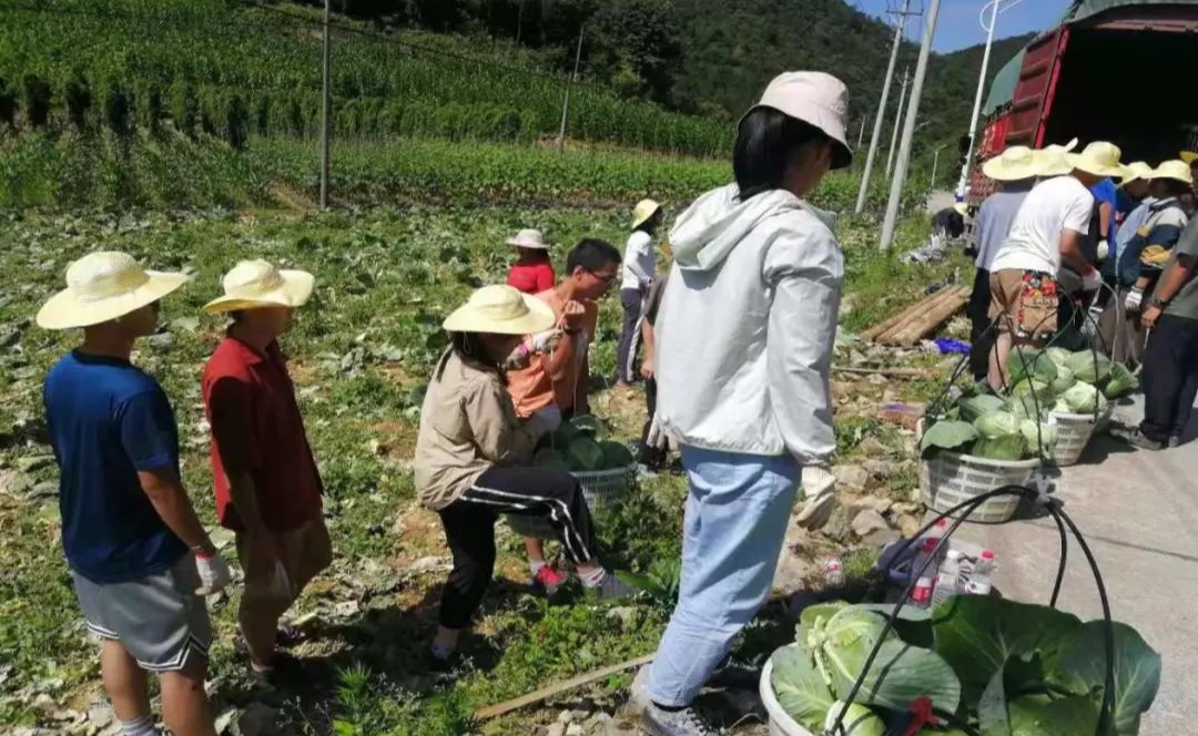 我在清华学种地——来自劳动教育实践课的启示