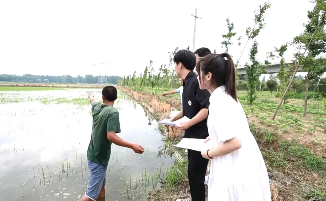 仲夏乡村行，水木青年声——2022年清华大学学生暑期乡村振兴社会实践纪实