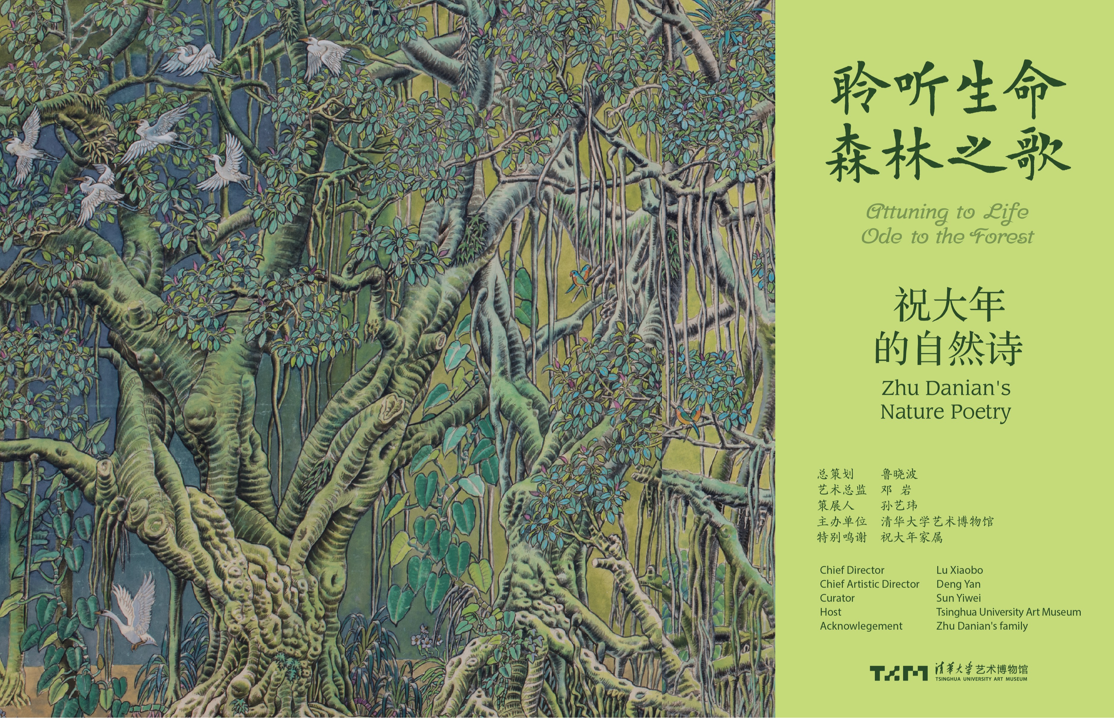 聆听生命·森林之歌：祝大年的自然诗