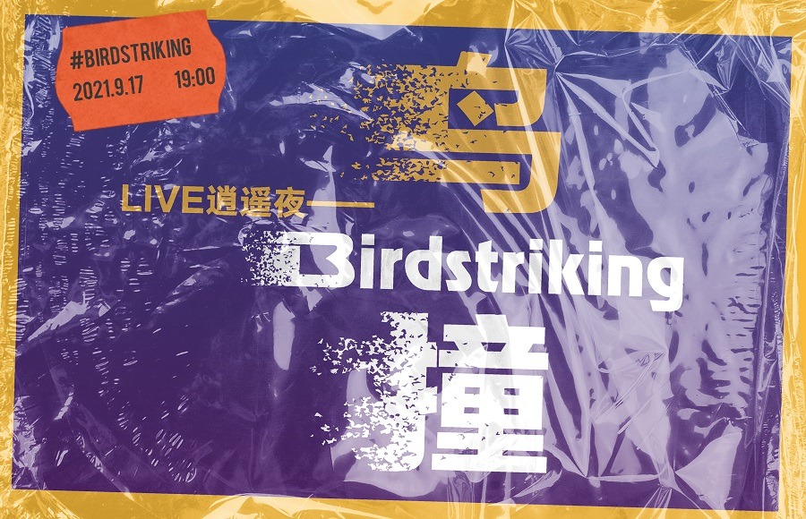 LIVE逍遥夜——鸟撞 Birdstriking